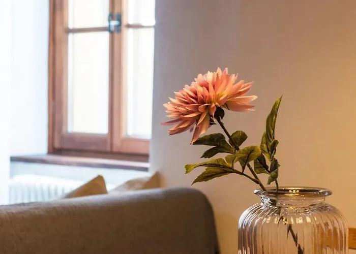 Rustico Ed Elegante Molina 3 By Solutions