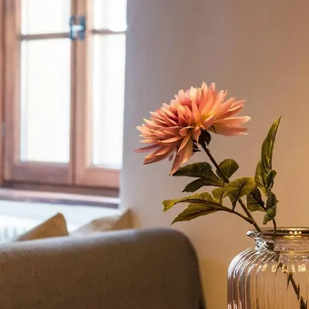 Rustico Ed Elegante Molina 3 By Solutions